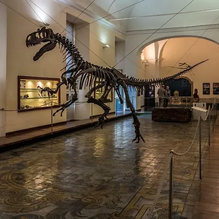 Art Nel Cuore Di Gæstehus Napoli